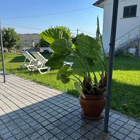 Aldeia De Pinho * São Pedro do Sul